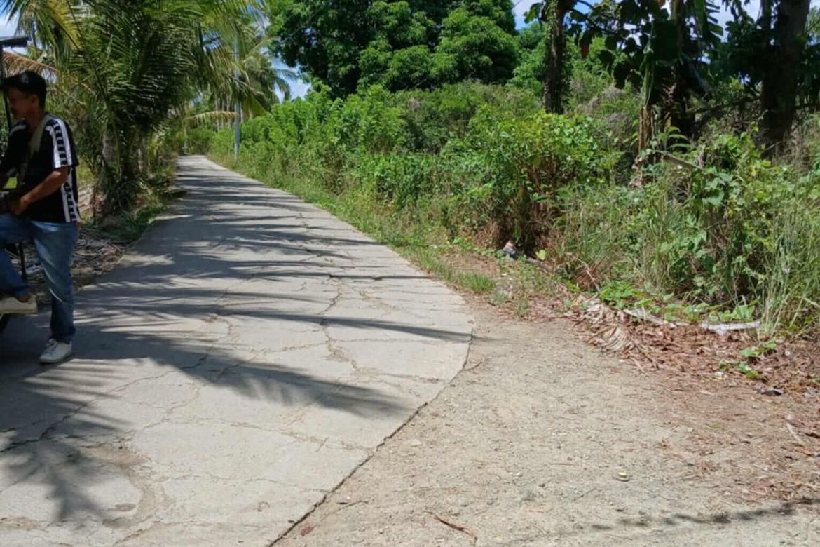 Land for Sale in Macalamcam A, Rosario, Batangas – photo 3