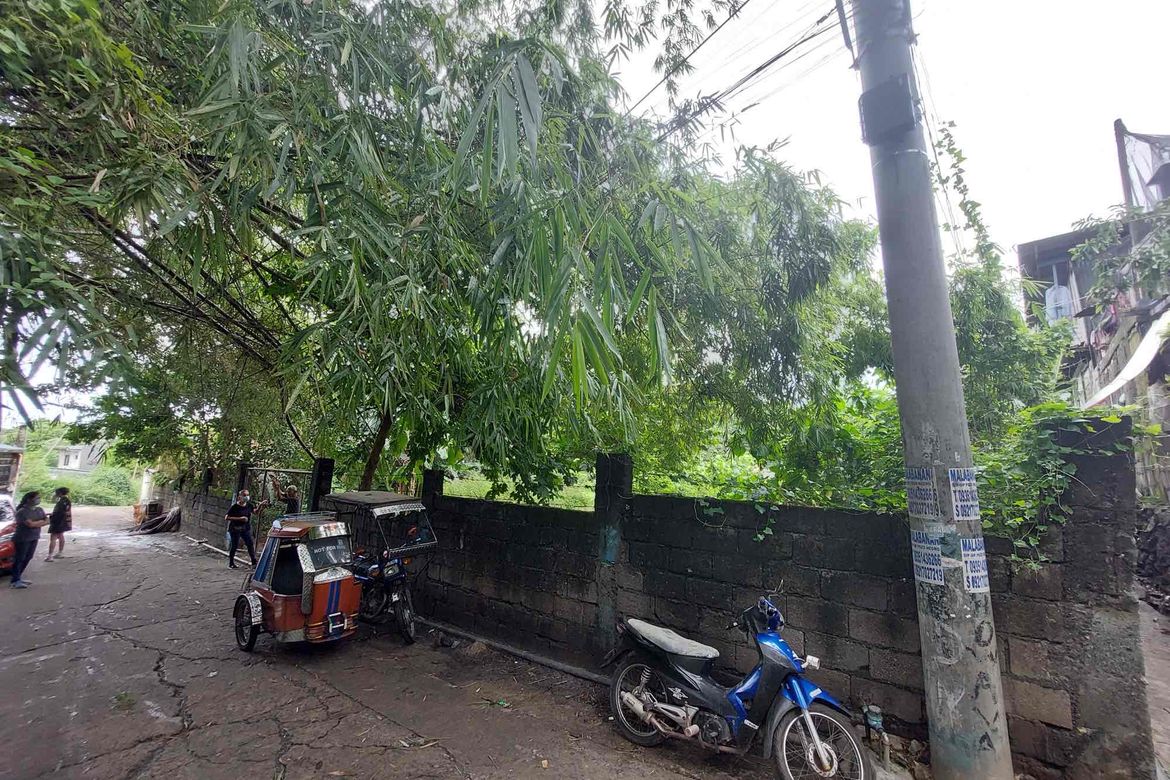 Land for Sale in Macamot, Binangonan, Rizal