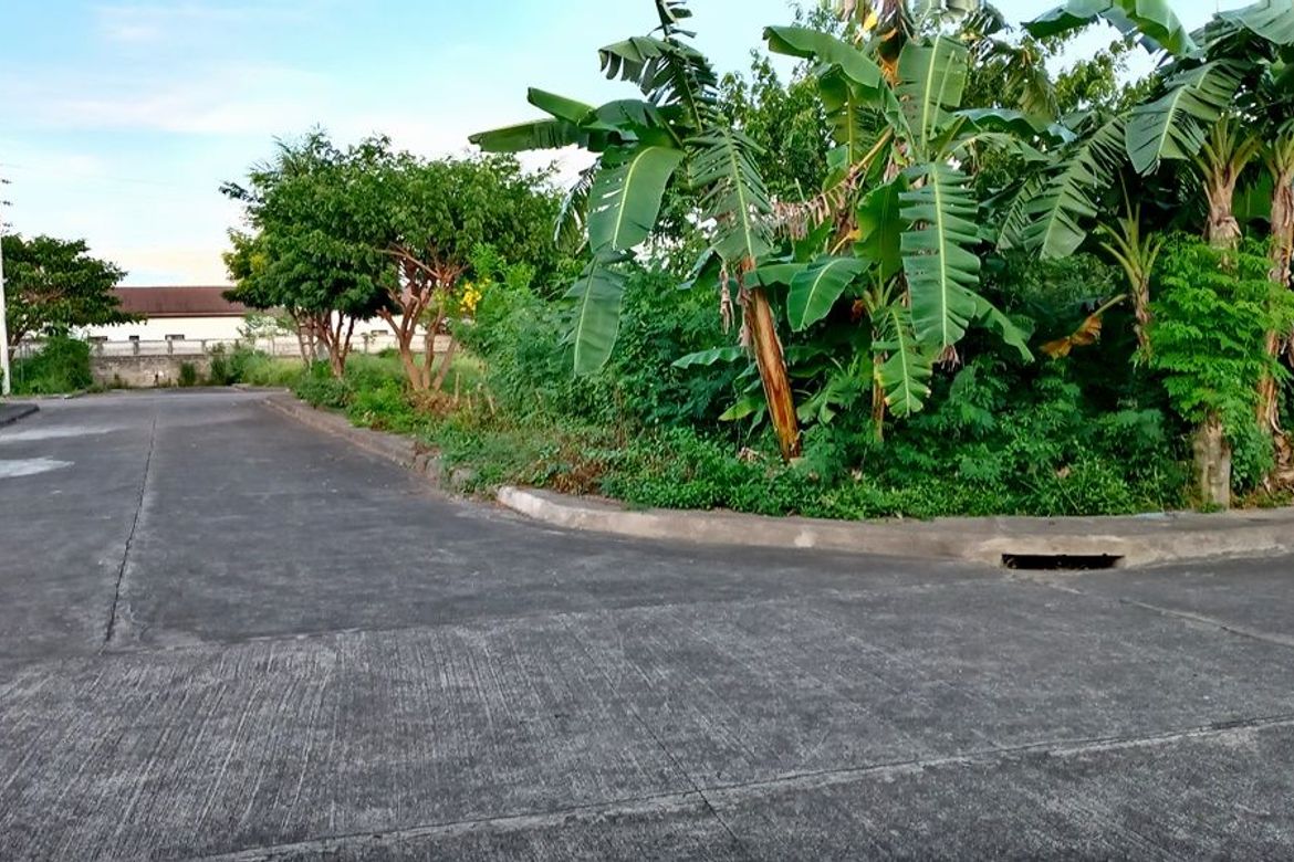 Land for Sale in Mactan, Lapu-Lapu, Cebu – photo 2