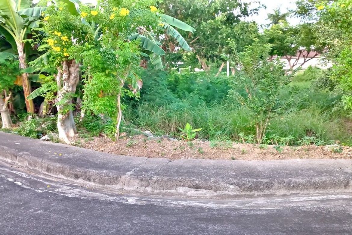 Land for Sale in Mactan, Lapu-Lapu, Cebu – photo 4