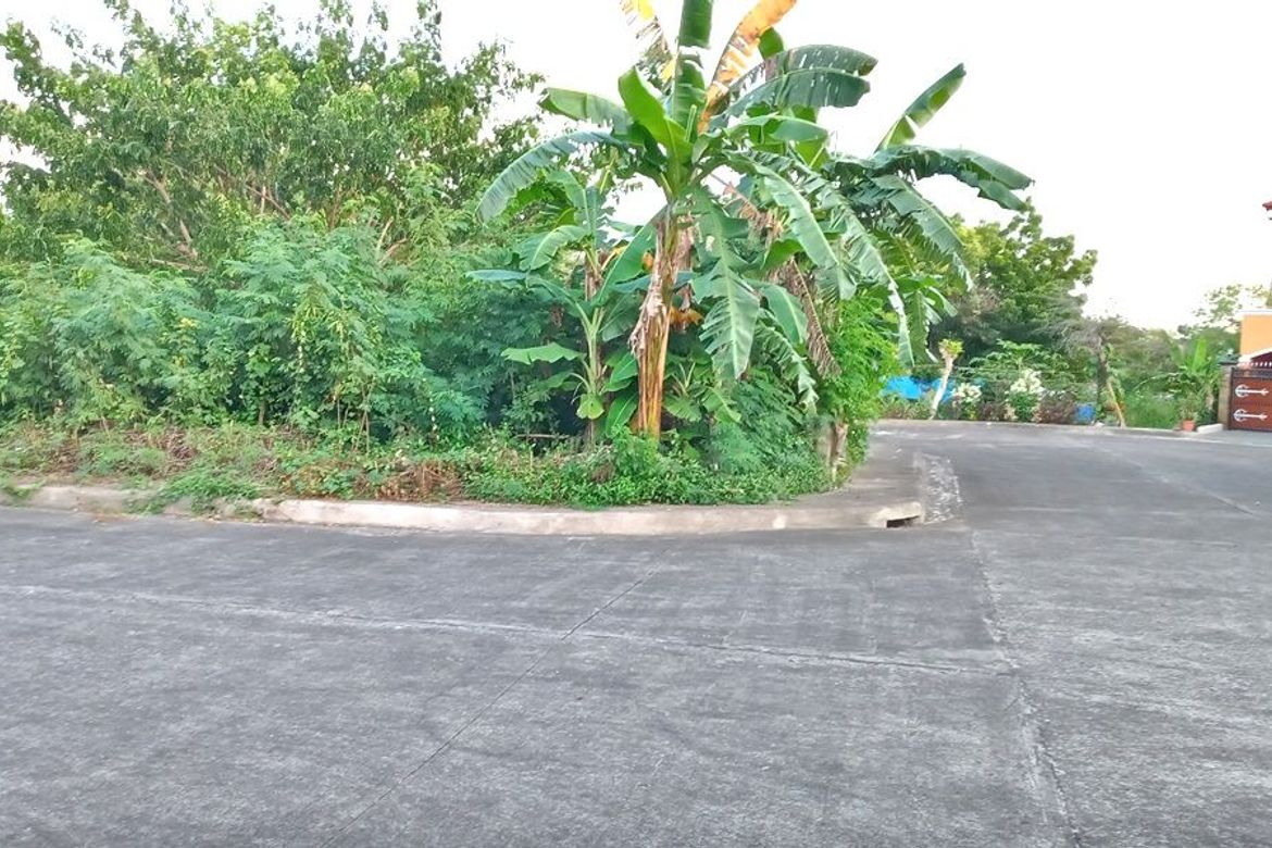 Land for Sale in Mactan, Lapu-Lapu, Cebu – photo 6