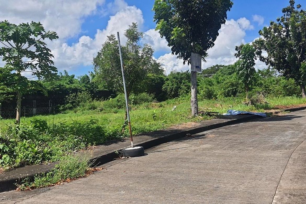 Land for Sale in Mactan, Lapu-Lapu, Cebu – photo 2