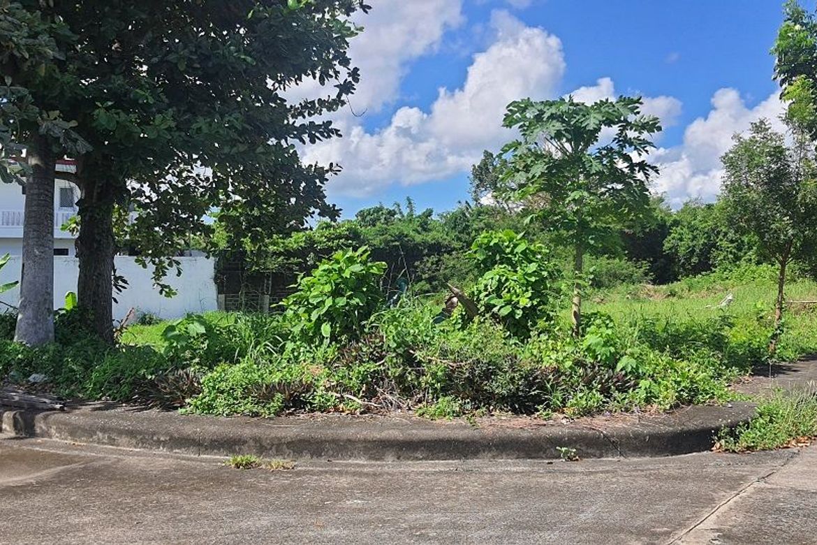 Land for Sale in Mactan, Lapu-Lapu, Cebu – photo 3