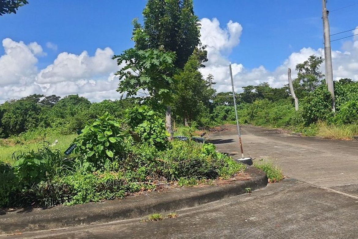 Land for Sale in Mactan, Lapu-Lapu, Cebu – photo 4
