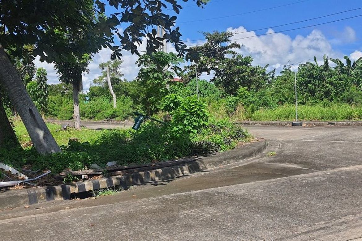 Land for Sale in Mactan, Lapu-Lapu, Cebu – photo 6