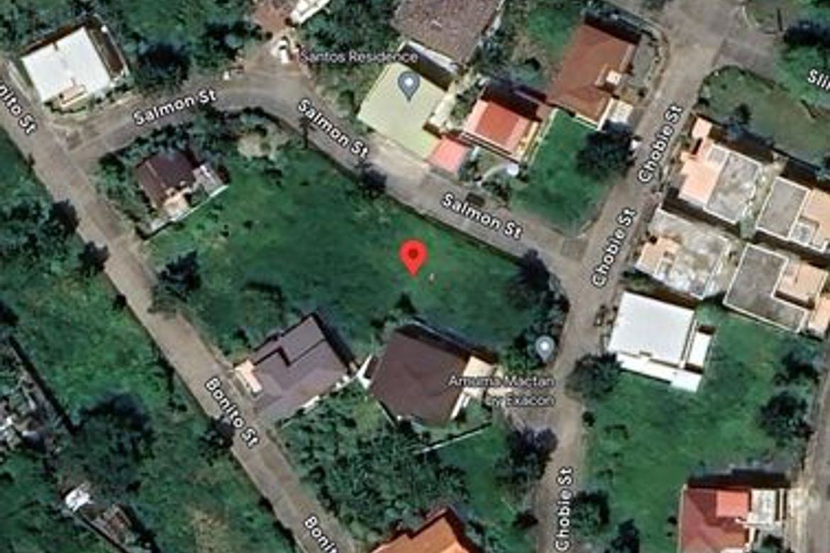 Land for Sale in Mactan, Lapu-Lapu, Cebu – photo 6