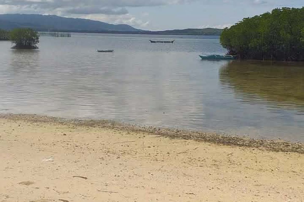 Land for Sale in Madangog, Calape, Bohol