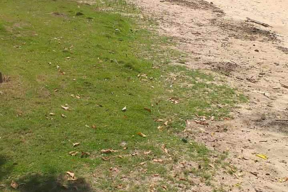 Land for Sale in Madangog, Calape, Bohol – photo 2