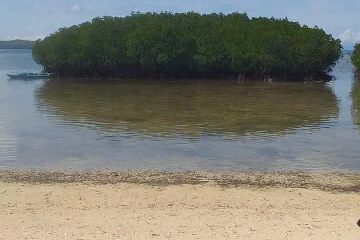 Land for Sale in Madangog, Calape, Bohol – photo 5