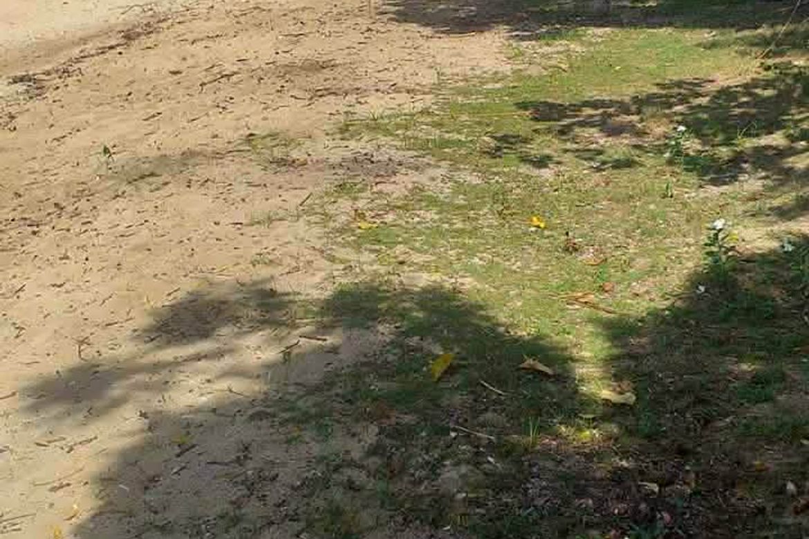 Land for Sale in Madangog, Calape, Bohol – photo 6