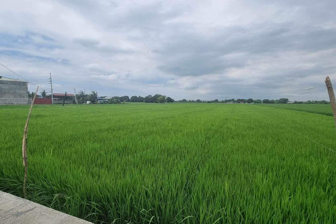Land for Sale in Mag-Asawang Sapa, Santa Maria, Bulacan – photo 2