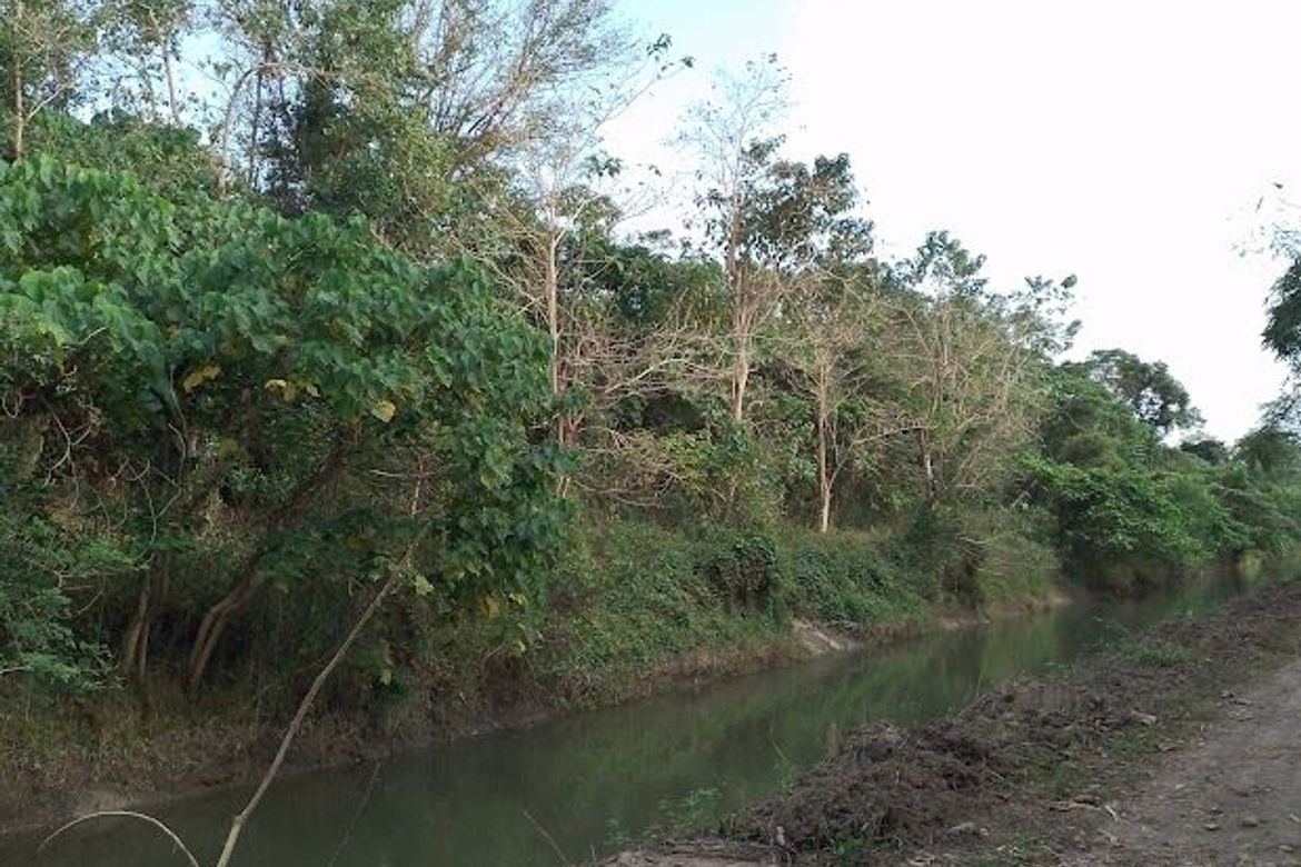 Land for Sale in Magapit, Lal-lo, Cagayan – photo 4