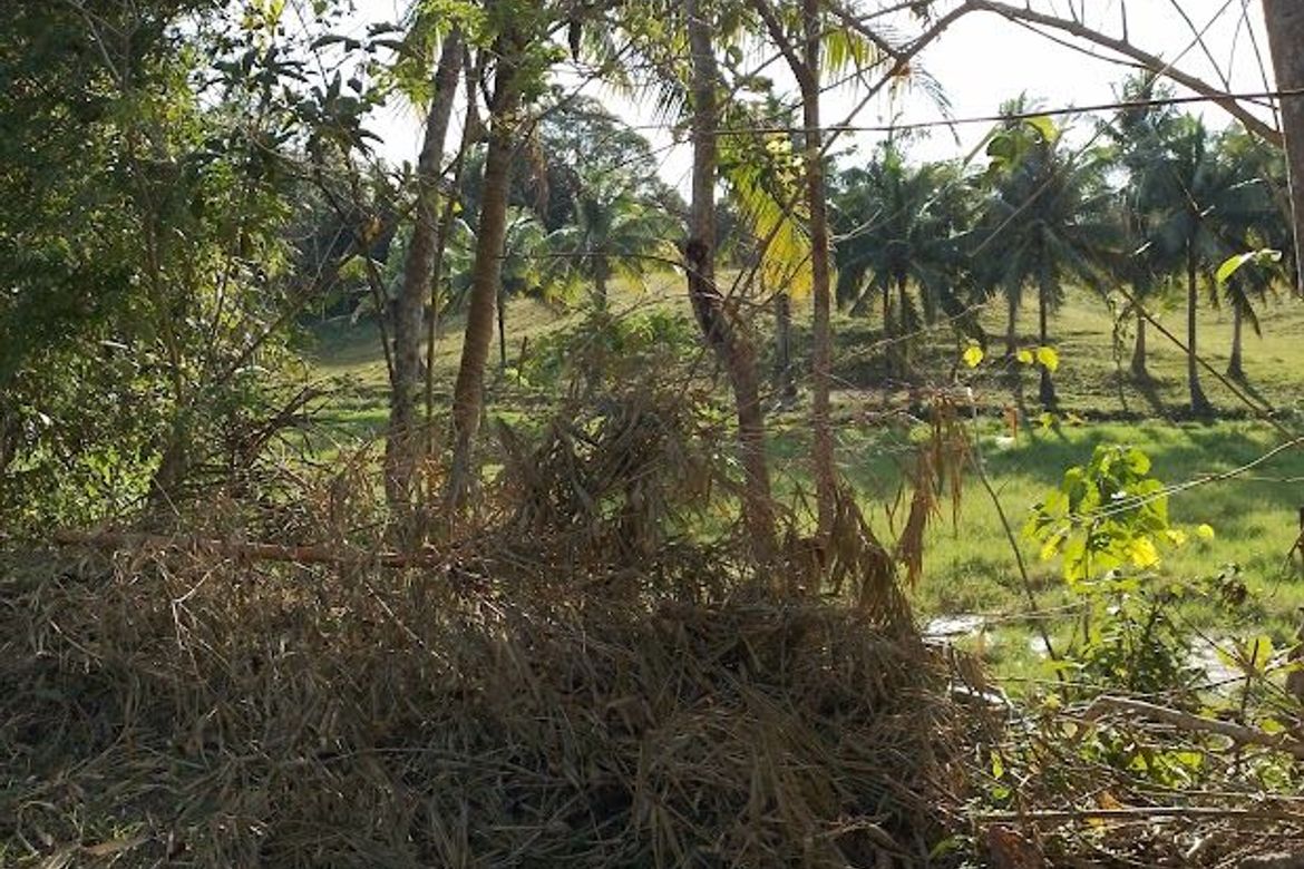 Land for Sale in Magapit, Lal-lo, Cagayan – photo 5