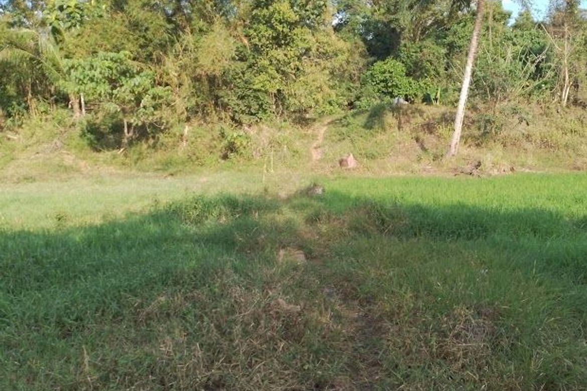 Land for Sale in Magapit, Lal-lo, Cagayan – photo 6