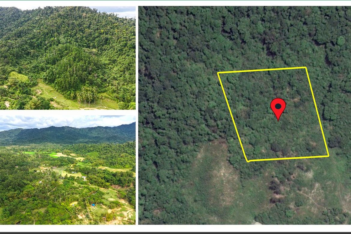 Land for Sale in Magara, Roxas, Palawan