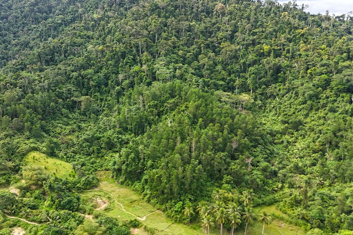Land for Sale in Magara, Roxas, Palawan – photo 2