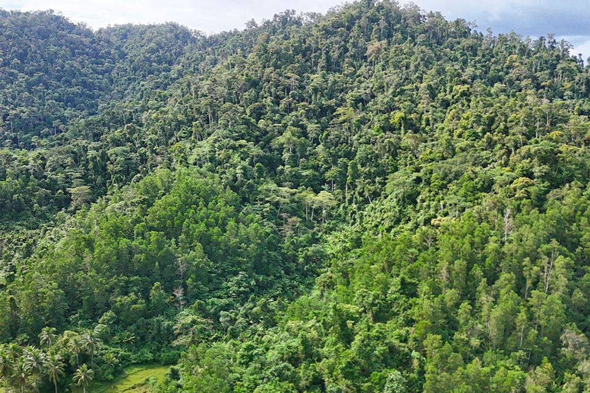 Land for Sale in Magara, Roxas, Palawan – photo 7