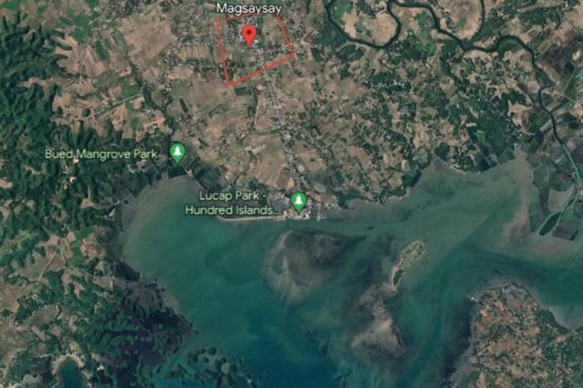Land for Sale in Magsaysay, Alaminos, Pangasinan