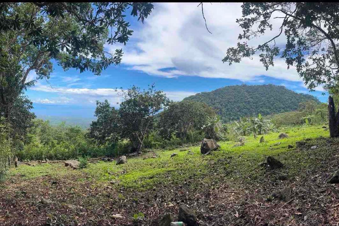 Land for Sale in Magsaysay, Dauin, Negros Oriental