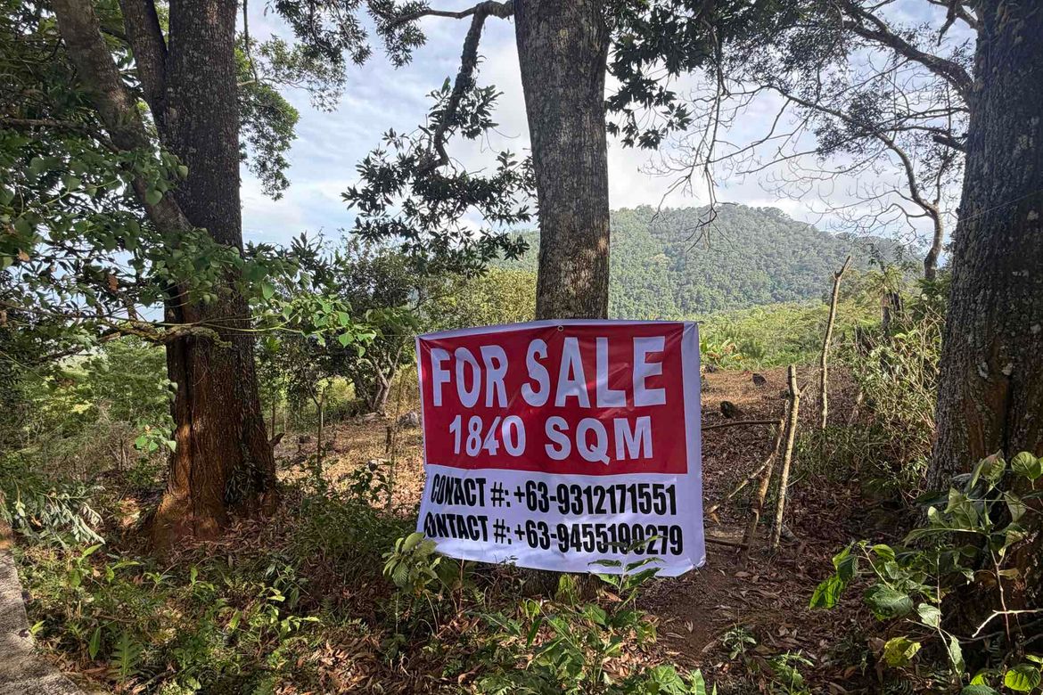 Land for Sale in Magsaysay, Dauin, Negros Oriental – photo 7