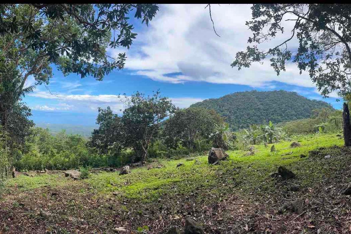 Land for Sale in Magsaysay, Dauin, Negros Oriental