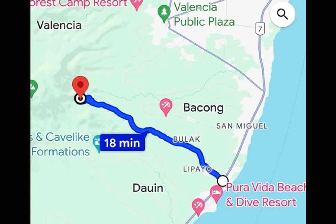 Land for Sale in Magsaysay, Dauin, Negros Oriental – photo 6