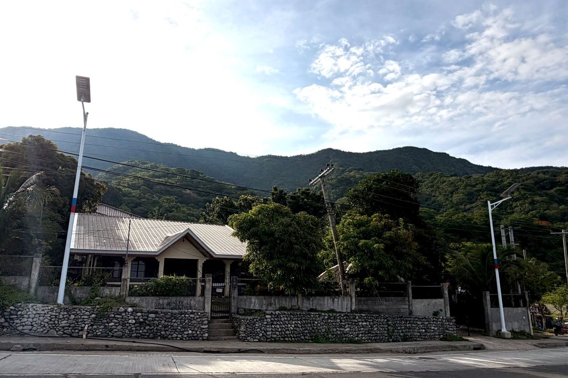 Land for Sale in Magsaysay District, Santa, Ilocos Sur – photo 7