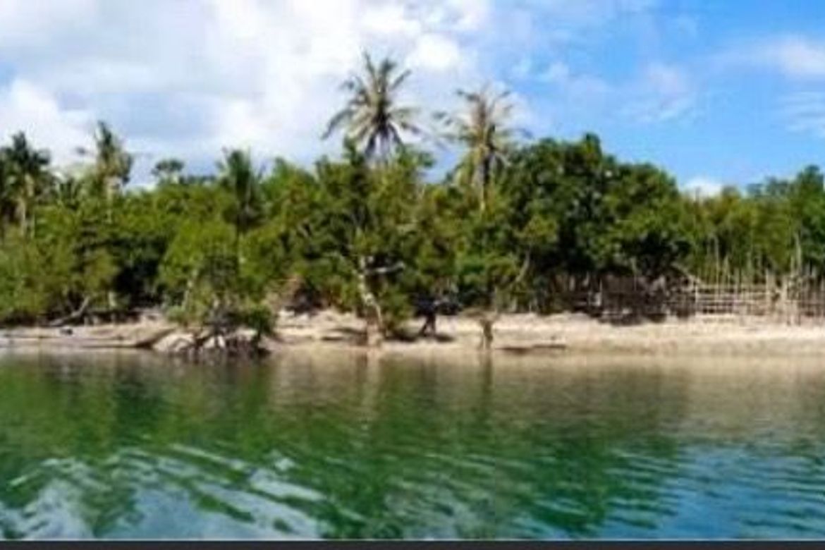 Land for Sale in Magsaysay, Lopez, Quezon – photo 8