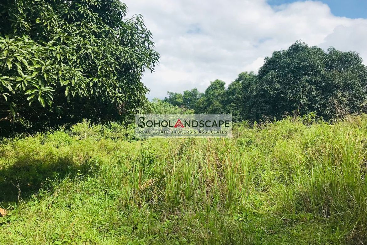 Land for Sale in Magsaysay, Sierra Bullones, Bohol – photo 3