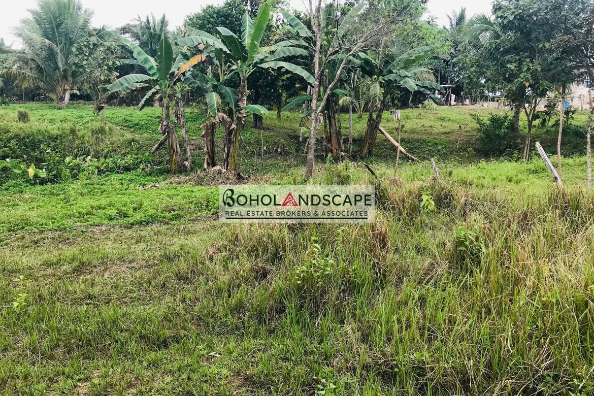 Land for Sale in Magsaysay, Sierra Bullones, Bohol – photo 6