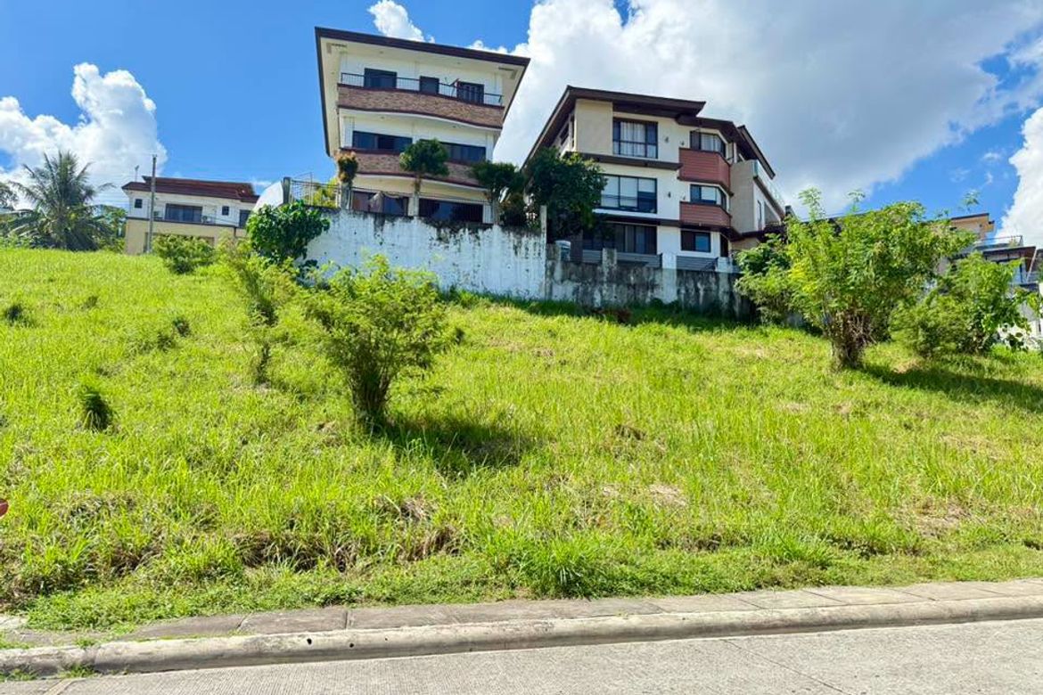 Land for Sale in Magtuod, Davao City, Davao del Sur – photo 3