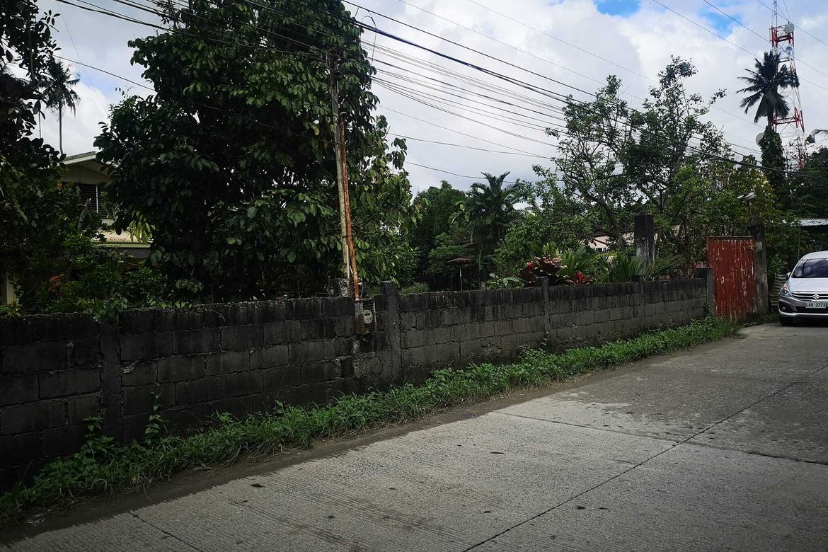 Land for Sale in Magugpo Poblacion, Tagum, Davao del Norte – photo 5