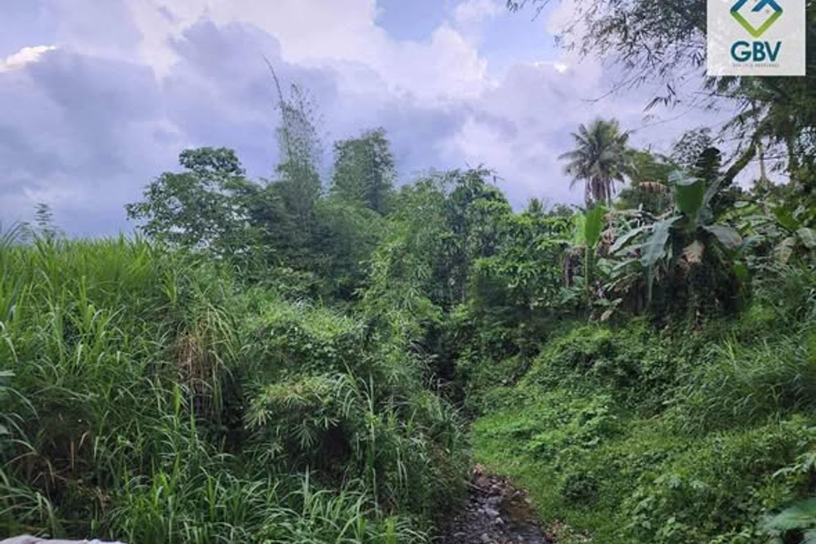Land for Sale in Magugpo South, Tagum, Davao del Norte – photo 2