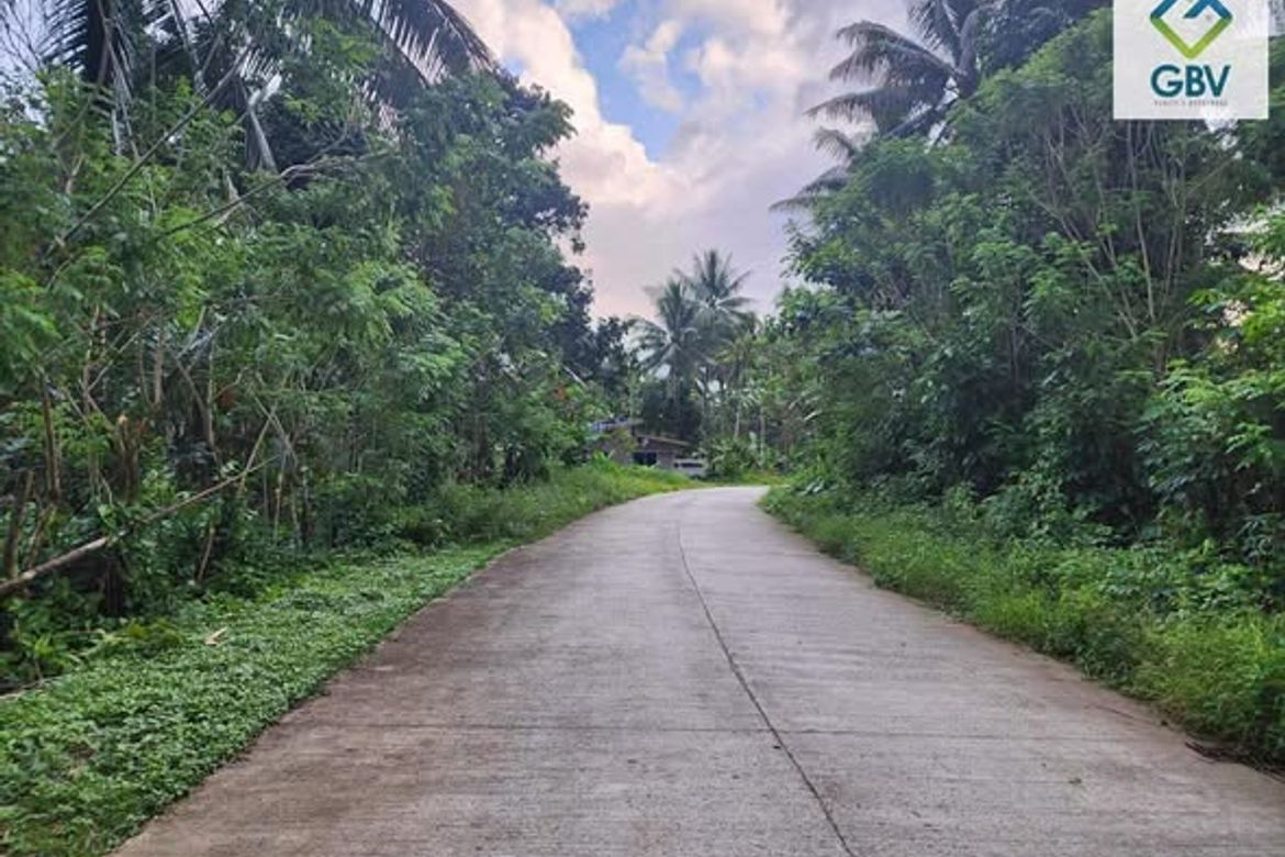 Land for Sale in Magugpo South, Tagum, Davao del Norte – photo 4