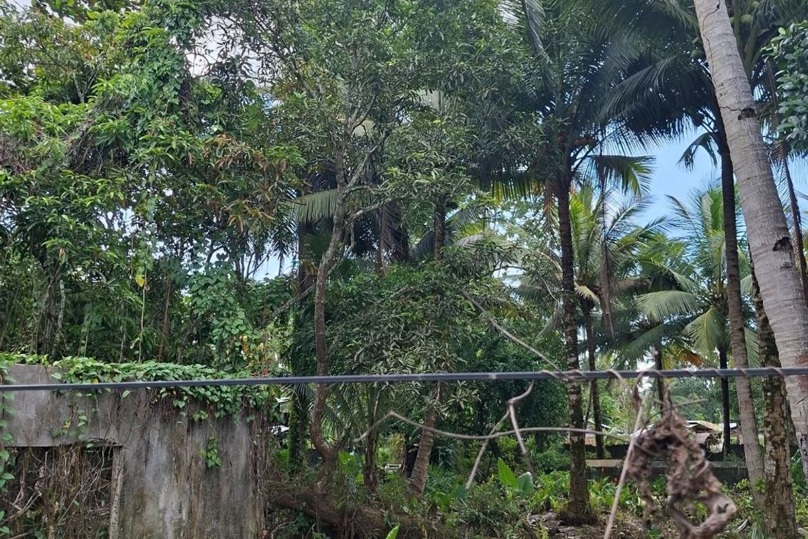 Land for Sale in Magugpo South, Tagum, Davao del Norte