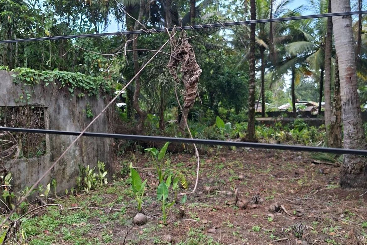 Land for Sale in Magugpo South, Tagum, Davao del Norte – photo 3