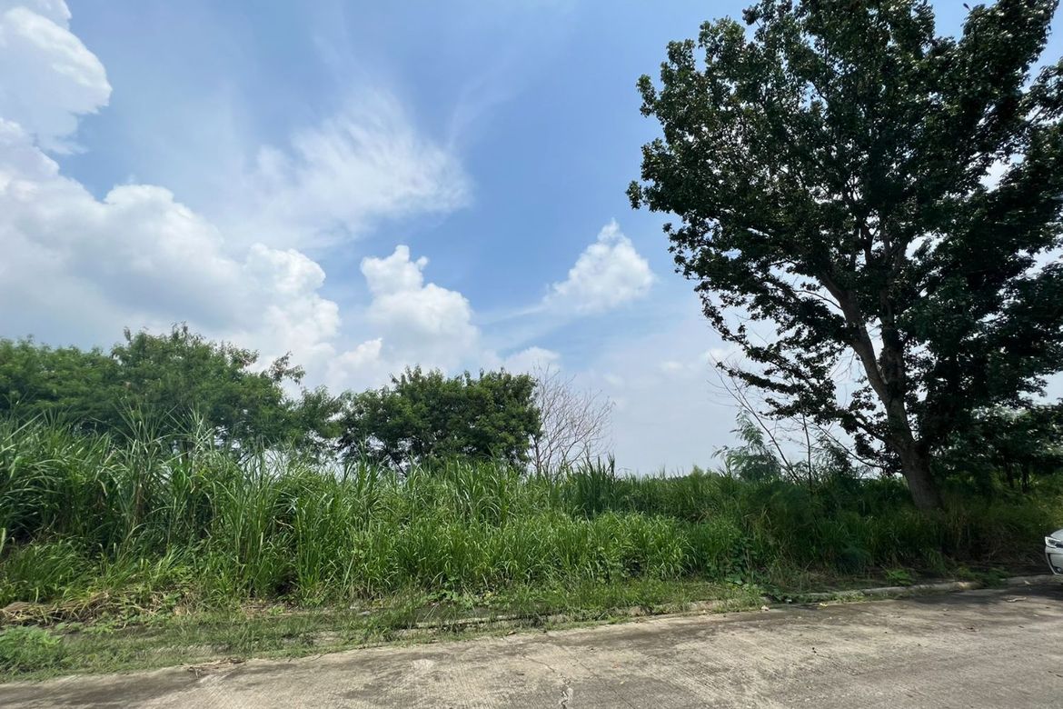 Land for Sale in Maguyam, Silang, Cavite – photo 4