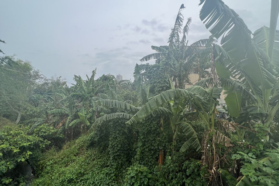 Land for Sale in Maguyam, Silang, Cavite – photo 3