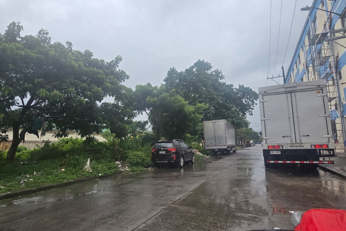 Land for Sale in Maguyam, Silang, Cavite – photo 6