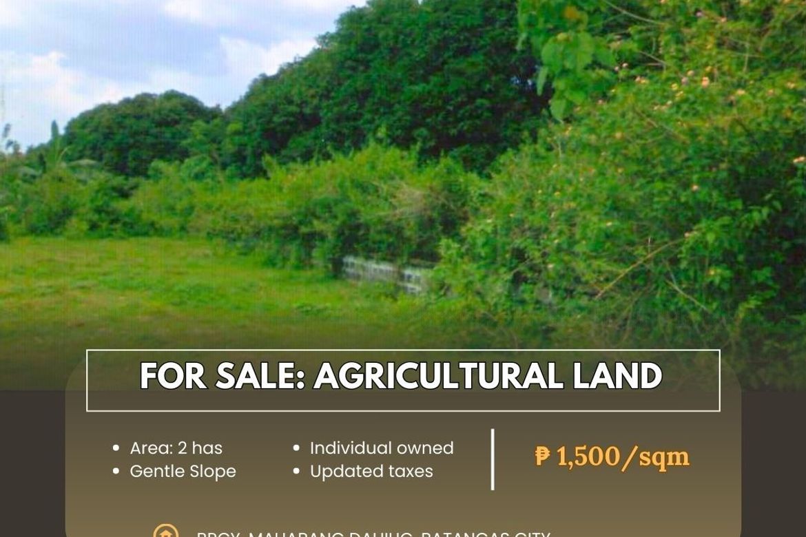 Land for Sale in Mahabang Dahilig, Batangas City, Batangas