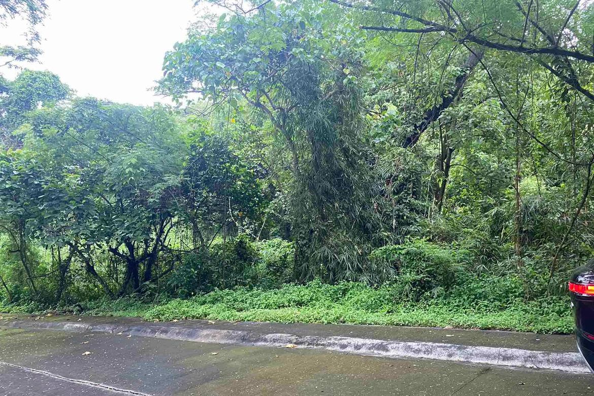 Land for Sale in Mahabang Parang, Angono, Rizal