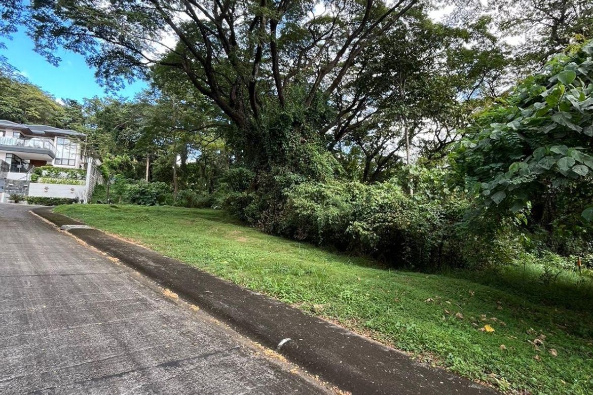 Land for Sale in Mahabang Parang, Angono, Rizal – photo 2