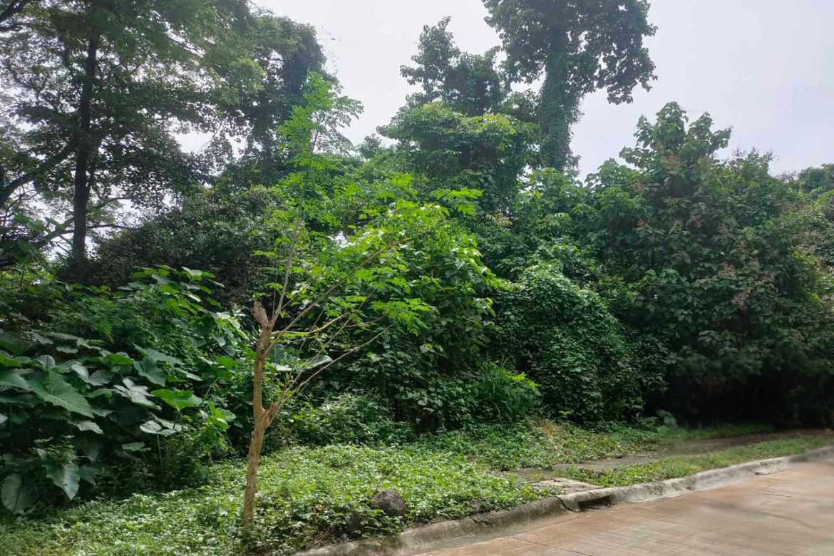Land for Sale in Mahabang Parang, Angono, Rizal
