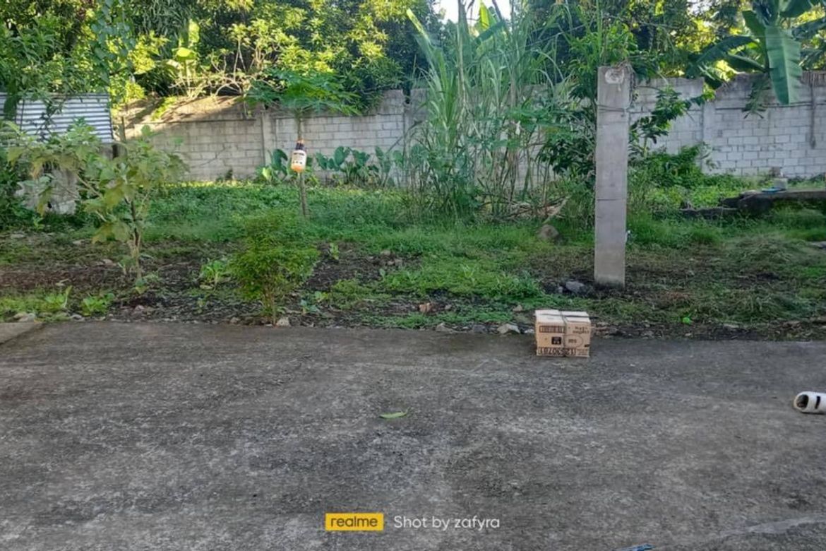 Land for Sale in Mahabang Parang, Angono, Rizal – photo 2