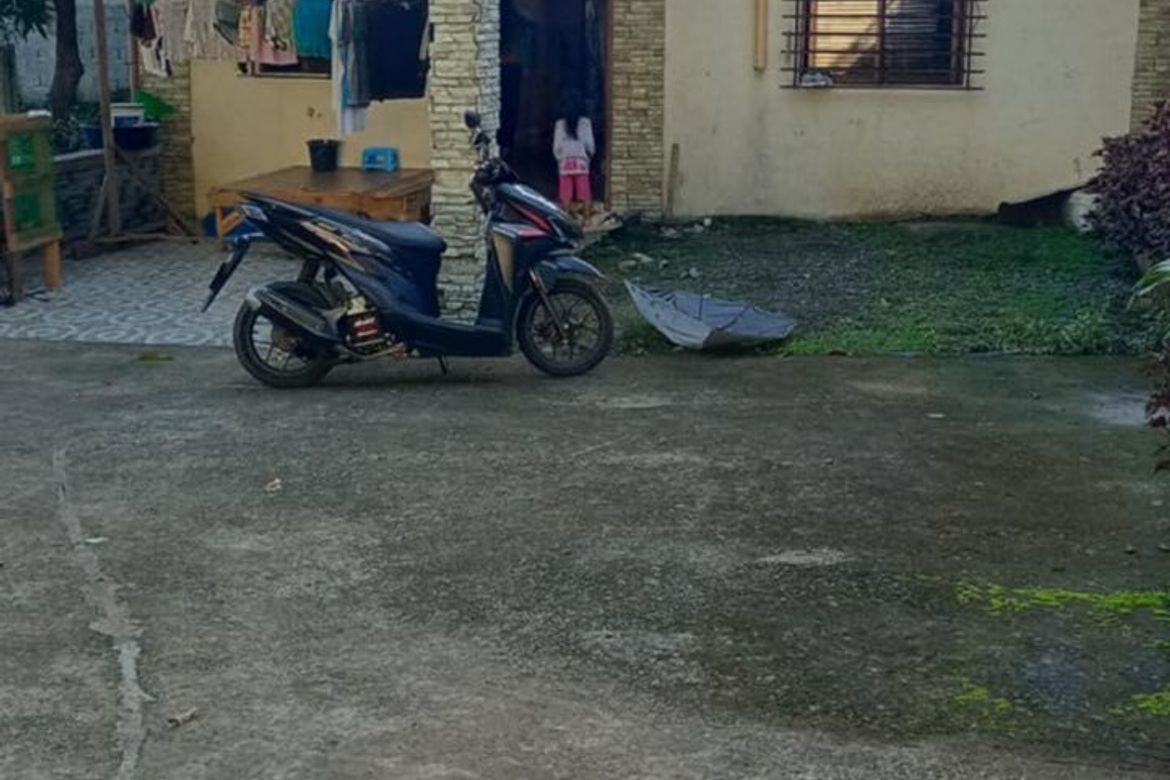 Land for Sale in Mahabang Parang, Angono, Rizal – photo 4