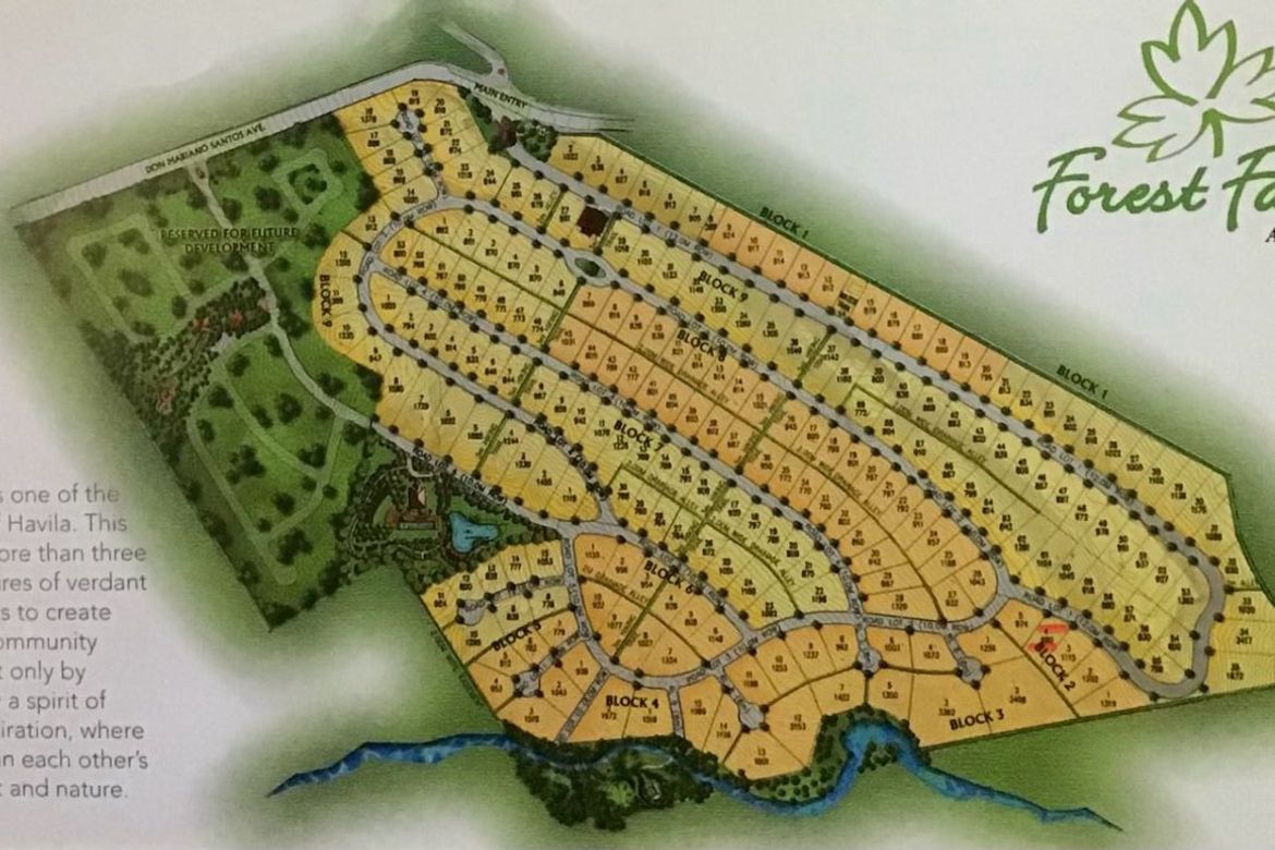 Land for Sale in Mahabang Parang, Angono, Rizal – photo 2