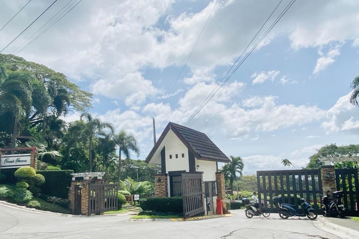 Land for Sale in Mahabang Parang, Angono, Rizal – photo 3