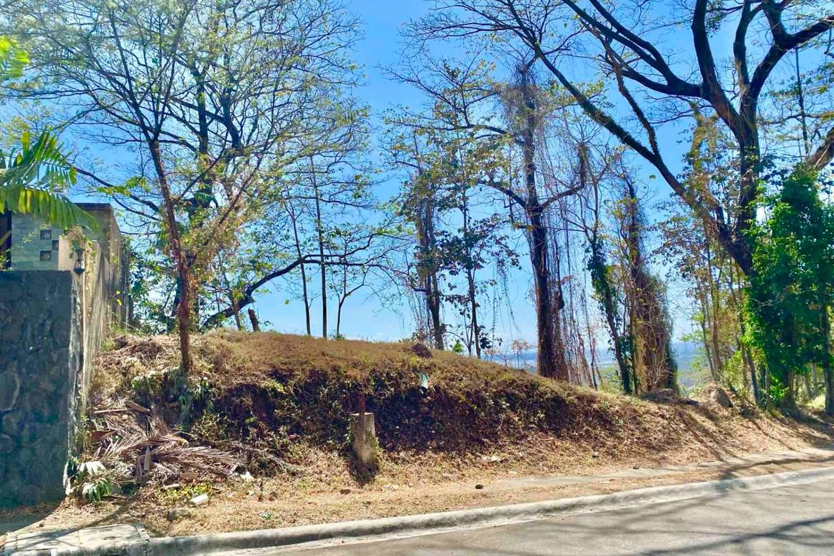 Land for Sale in Mahabang Parang, Angono, Rizal – photo 4