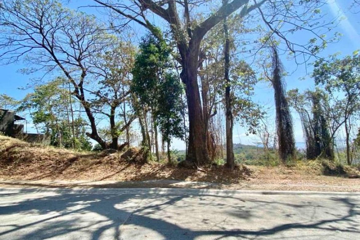 Land for Sale in Mahabang Parang, Angono, Rizal – photo 6