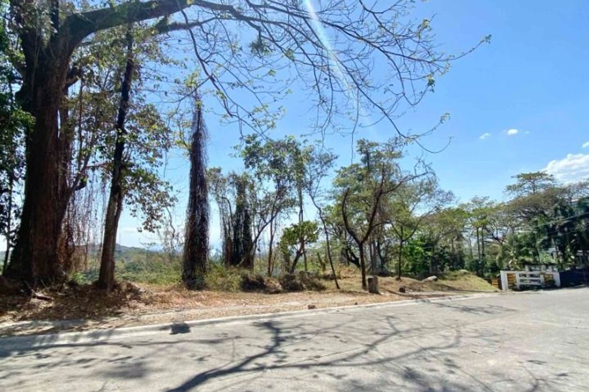 Land for Sale in Mahabang Parang, Angono, Rizal – photo 7